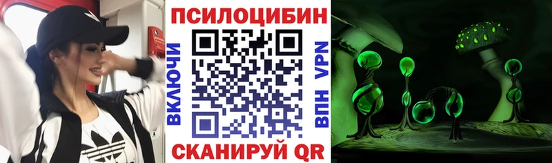 Псилоцибиновые грибы Psilocybe  цены наркотик  Щучье 