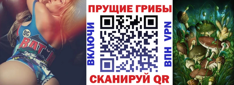 Псилоцибиновые грибы MAGIC MUSHROOMS Щучье